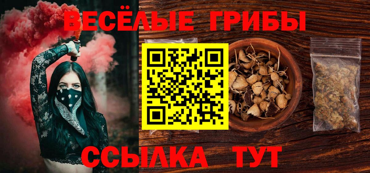 Галлюциногенные грибы Psilocybine cubensis Полысаево