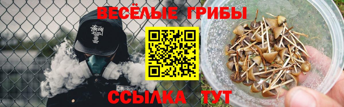 Полысаево  даркнет сайт  Вход с VPN  Псилоцибиновые грибы MAGIC MUSHROOMS 