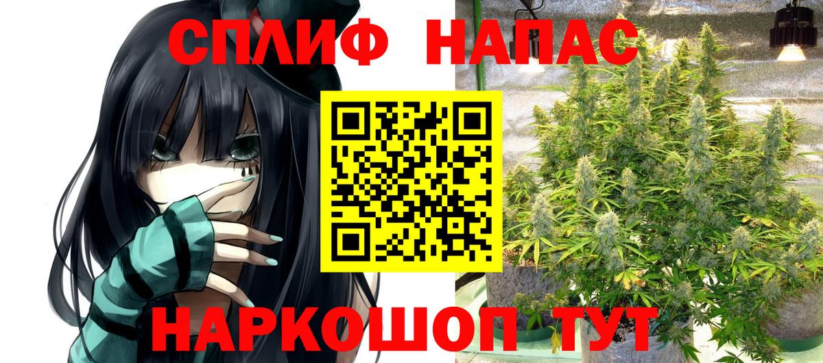 Конопля планчик Полысаево
